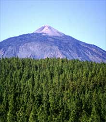 Pico del Teide auf Teneriffa
